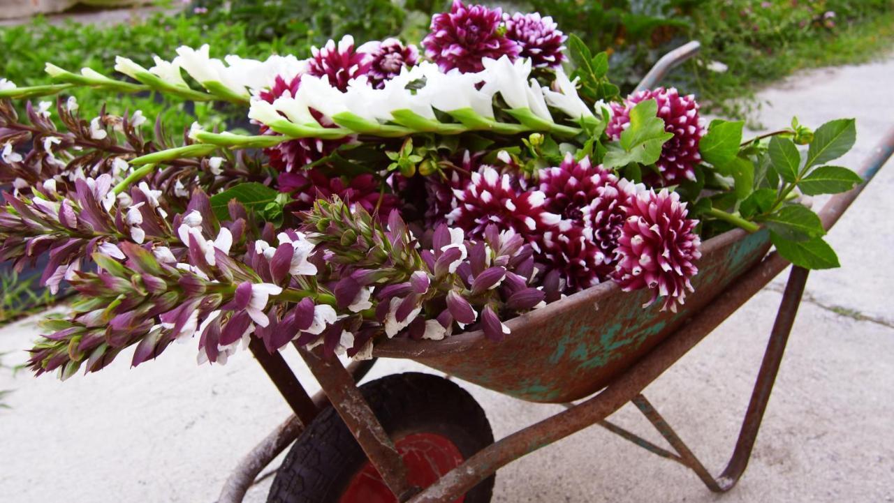 Montirone Agriturismo Fiorbello מראה חיצוני תמונה